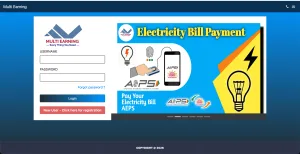 Multi Earning Solutions